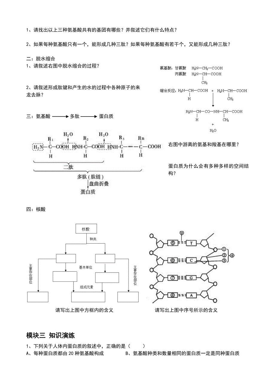 细胞的分子组成、有机化合物及生物大分子_第5页