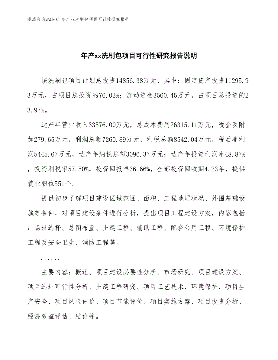 xxx工业新城年产xx洗刷包项目可行性研究报告_第2页