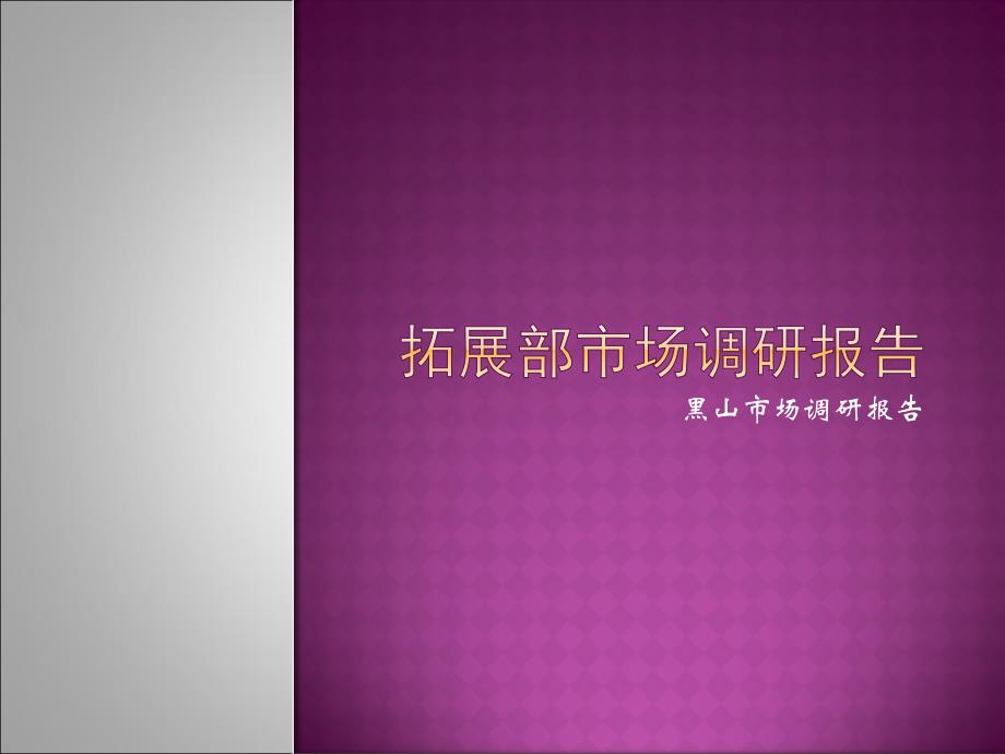 辽宁锦州黑山广场项目拓展部市场调研报告（黑山市场调研部30页）_第1页