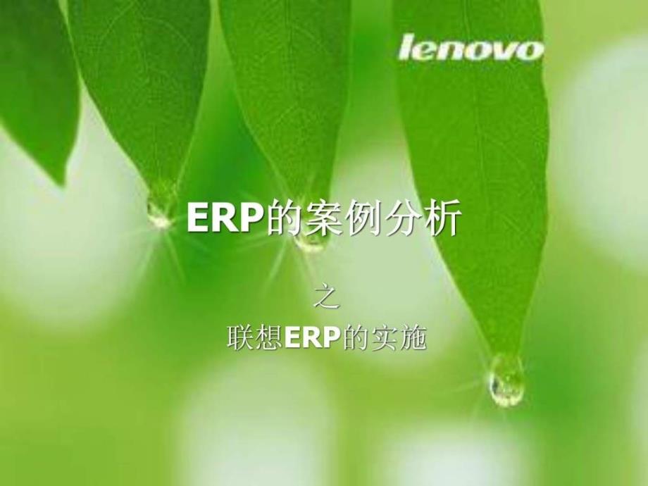 《erp的案例分析》ppt课件_第1页