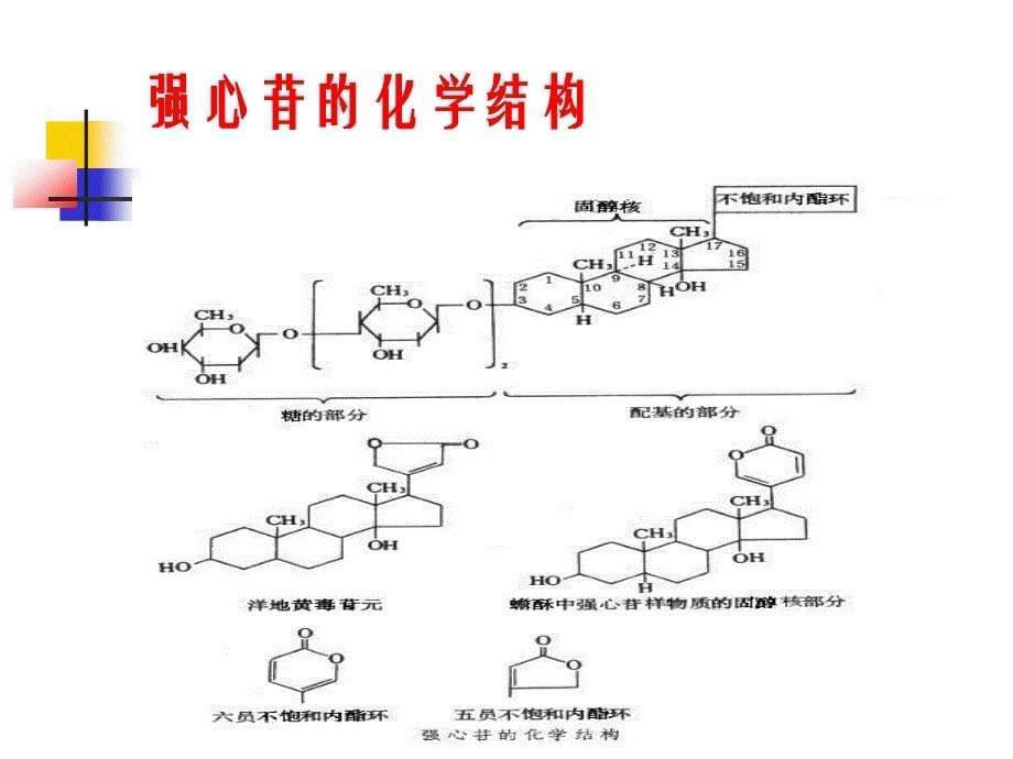 药理学之心力衰竭药物副本ppt课件_第5页