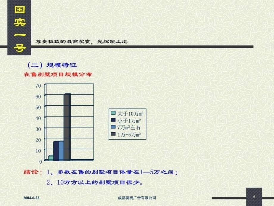 国宾一号推广策略框架文本_第5页