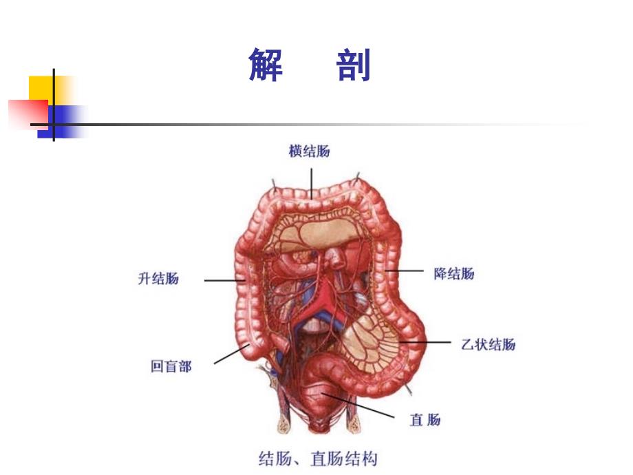 结肠、直肠肛管疾病ppt课件_第2页