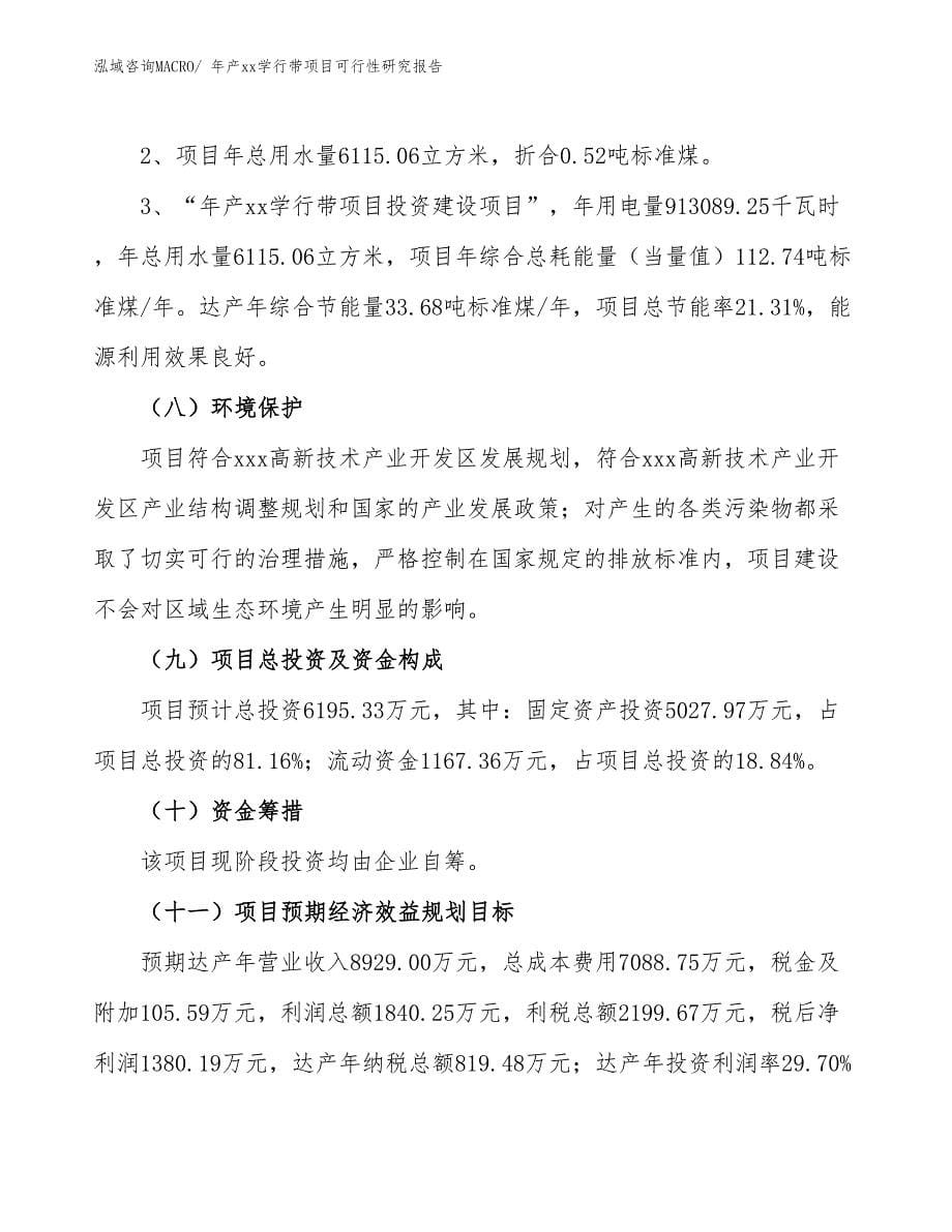 xxx高新技术产业开发区年产xx学行带项目可行性研究报告_第5页