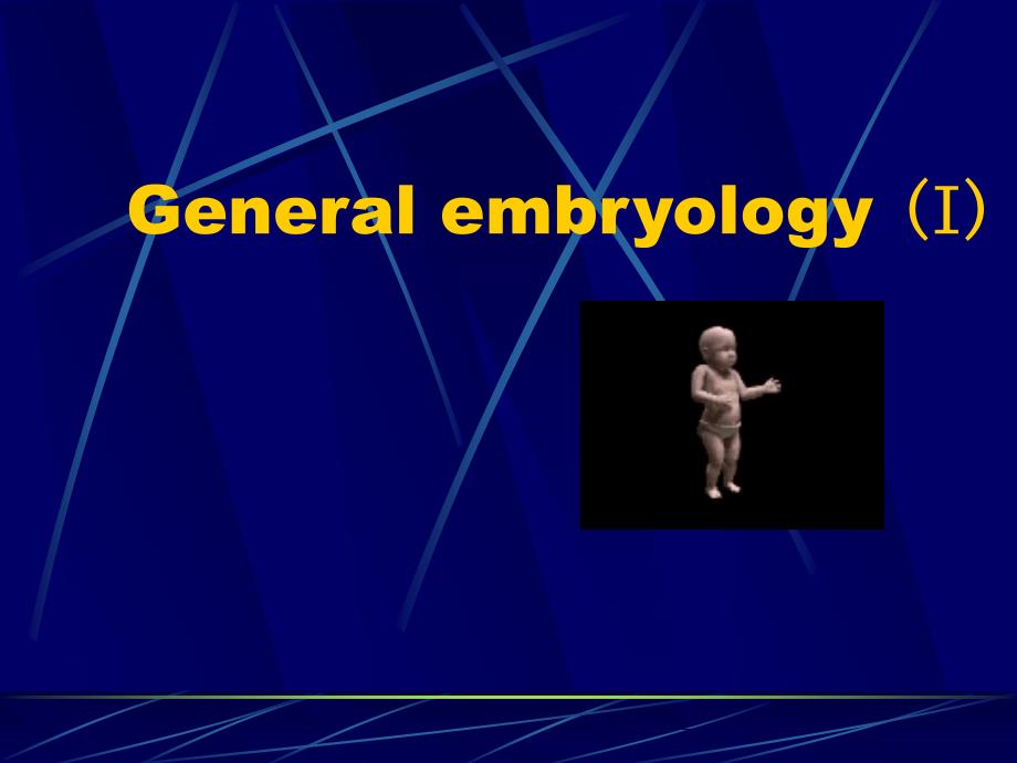 人胚胎早期发生ppt课件_第1页