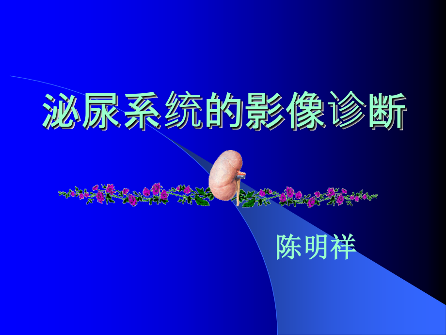 肾教学ppt课件_第1页