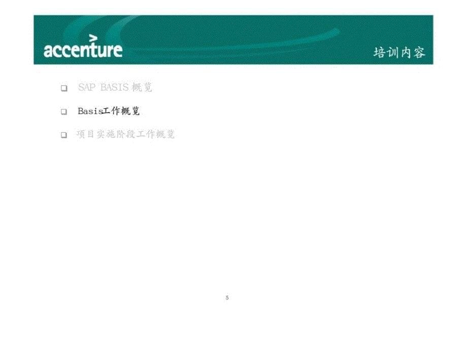 埃森哲：电力erp系统实施项目basis工作概览培训_第5页