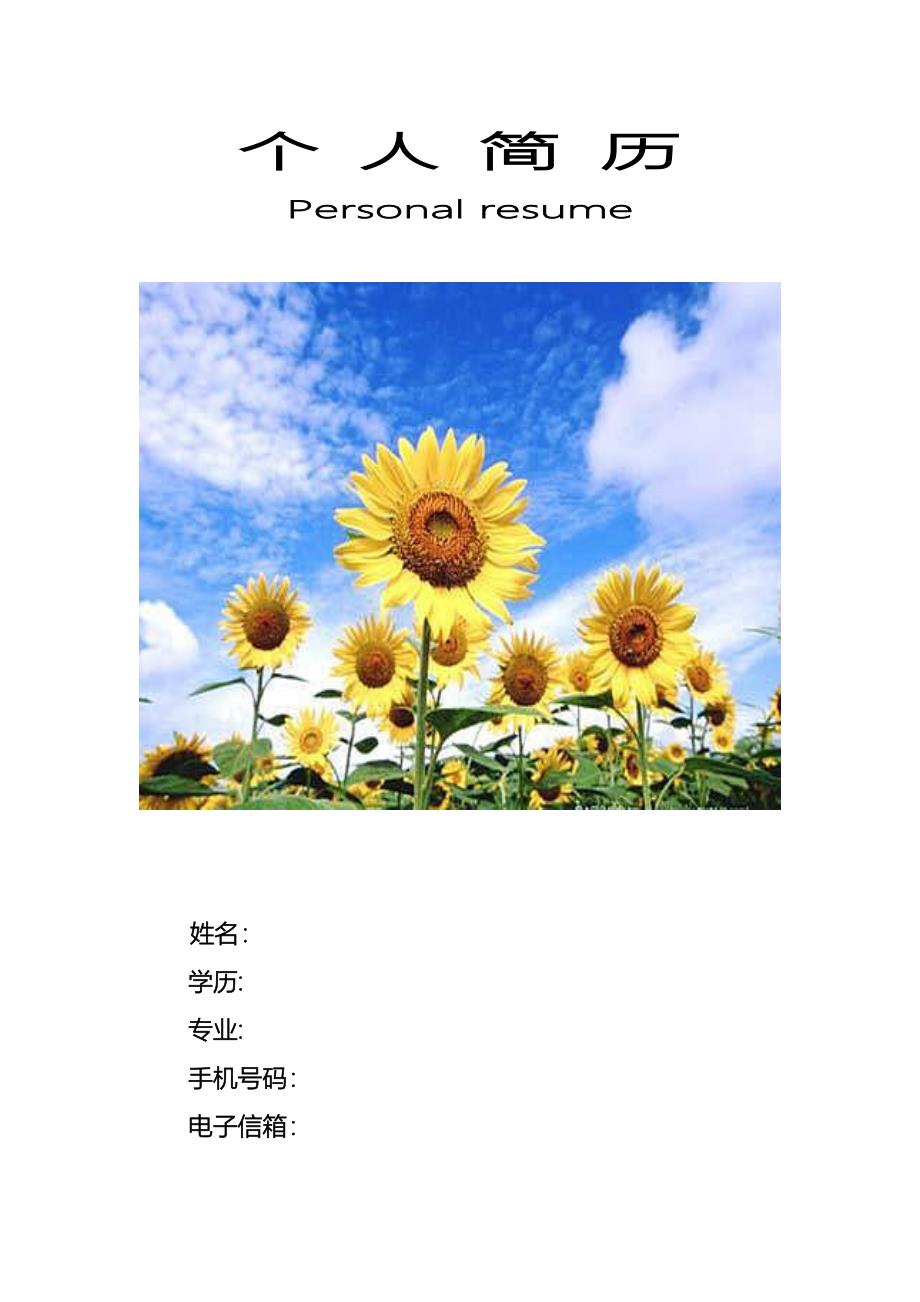 个人简历-personalresume_第1页