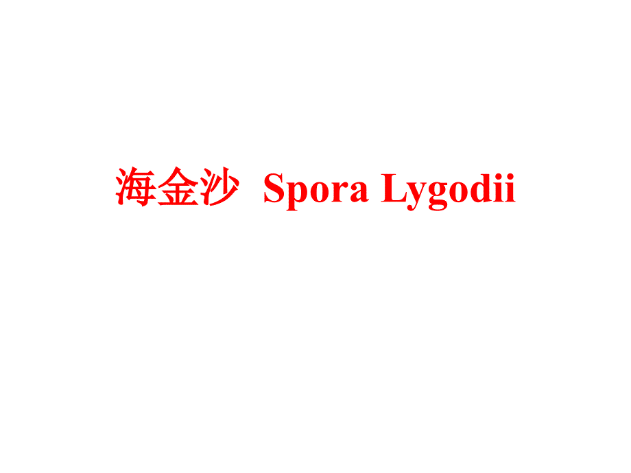 中药鉴定学 海金沙  spora lygodii_第1页