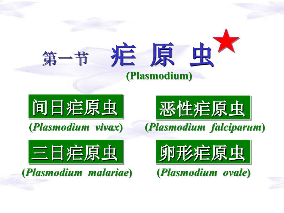 疟原虫、弓形虫ppt课件_第3页