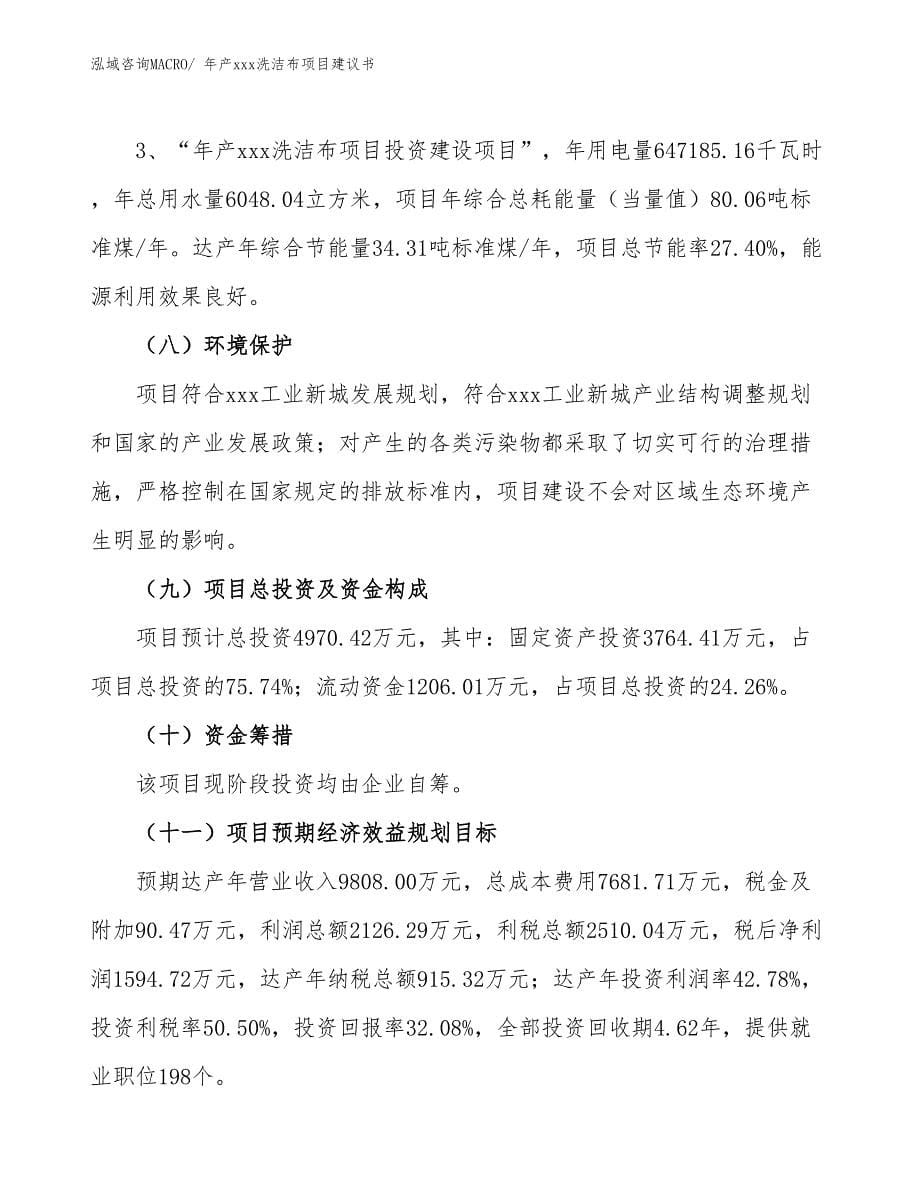 年产xxx洗洁布项目建议书_第5页