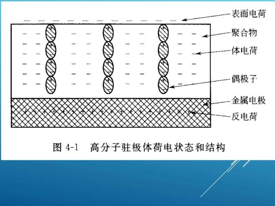 电活性高分子材料_图文.ppt_第3页