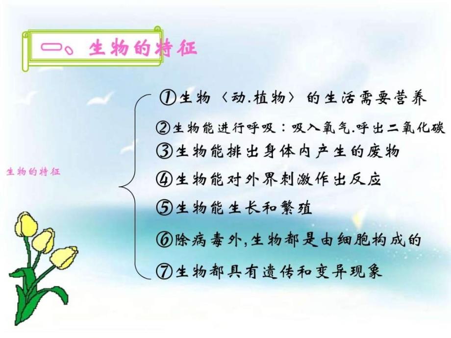 《生物和生物圈》单元复习课件_第2页