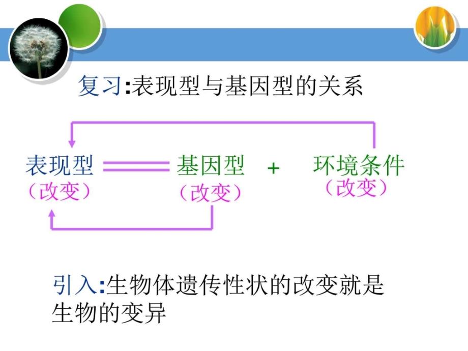 基因突变和基因重组4_生物学_自然科学_专业资料_第2页