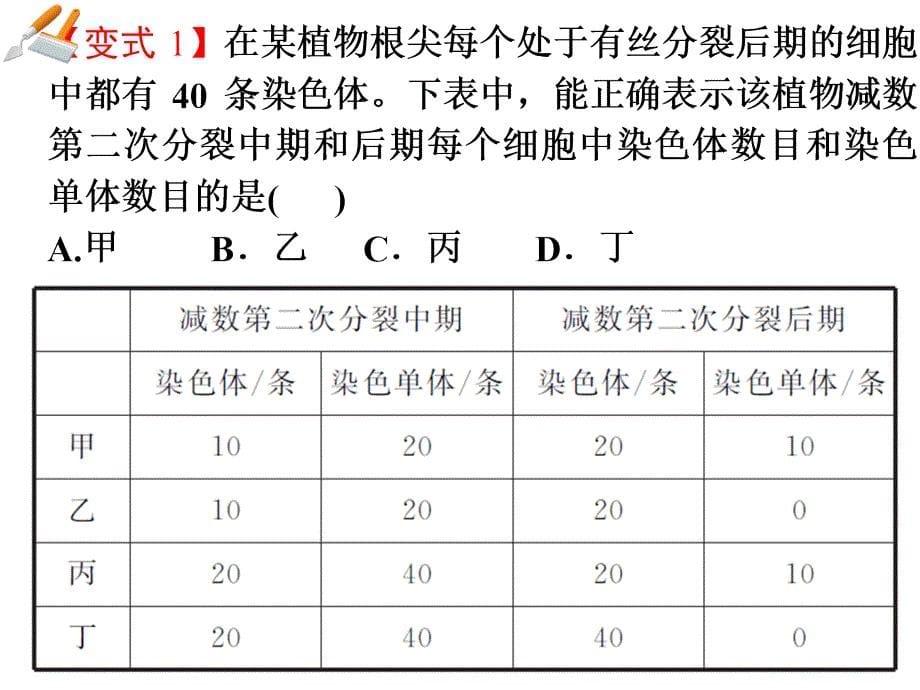 专题3小专题6细胞的增殖、分化、衰老和凋亡_第5页