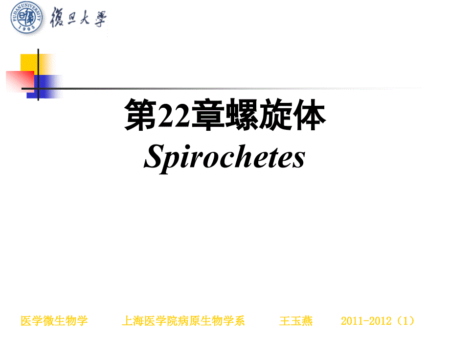 其他细胞型微生物ppt课件_第3页