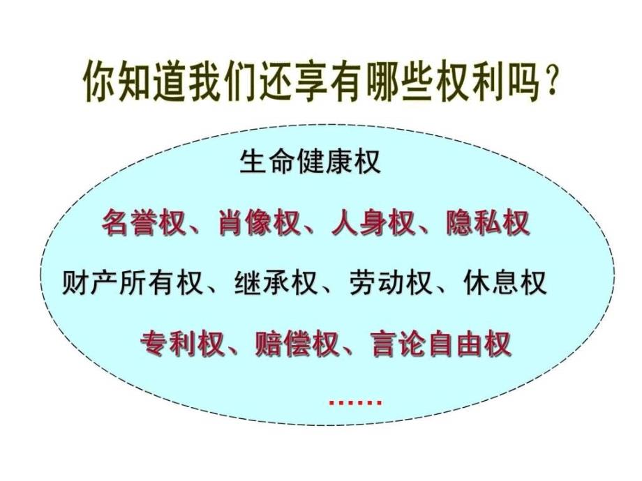 《我们享有广泛的权利》优秀教学课件_第4页