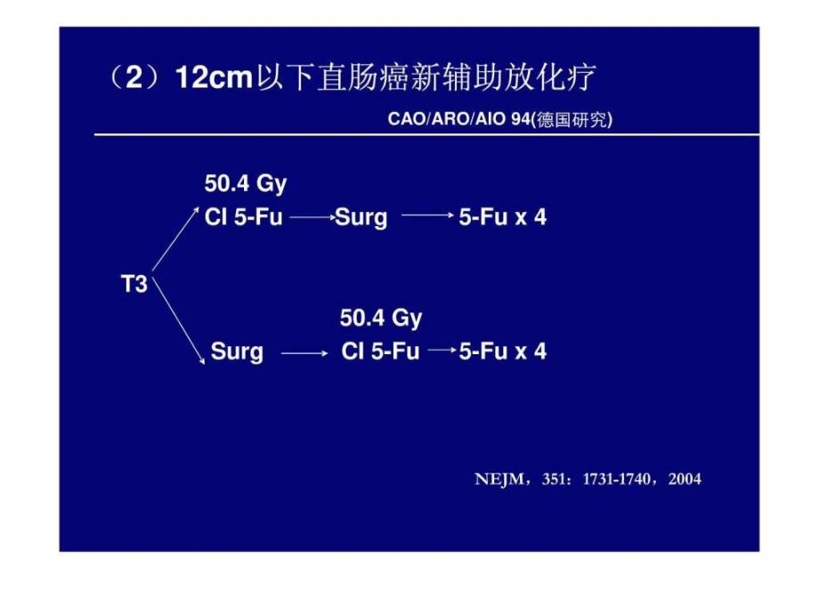 安维汀转移性结直肠癌新辅助治疗最新进展蔡三军_第4页