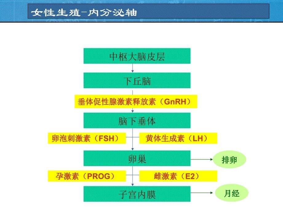 性激素六项化验单临床解读-左宏玲-妇科ppt课件_第5页