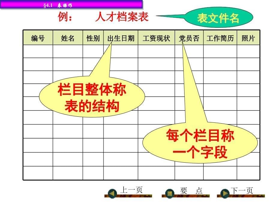 有关数据表的基本概念_第5页