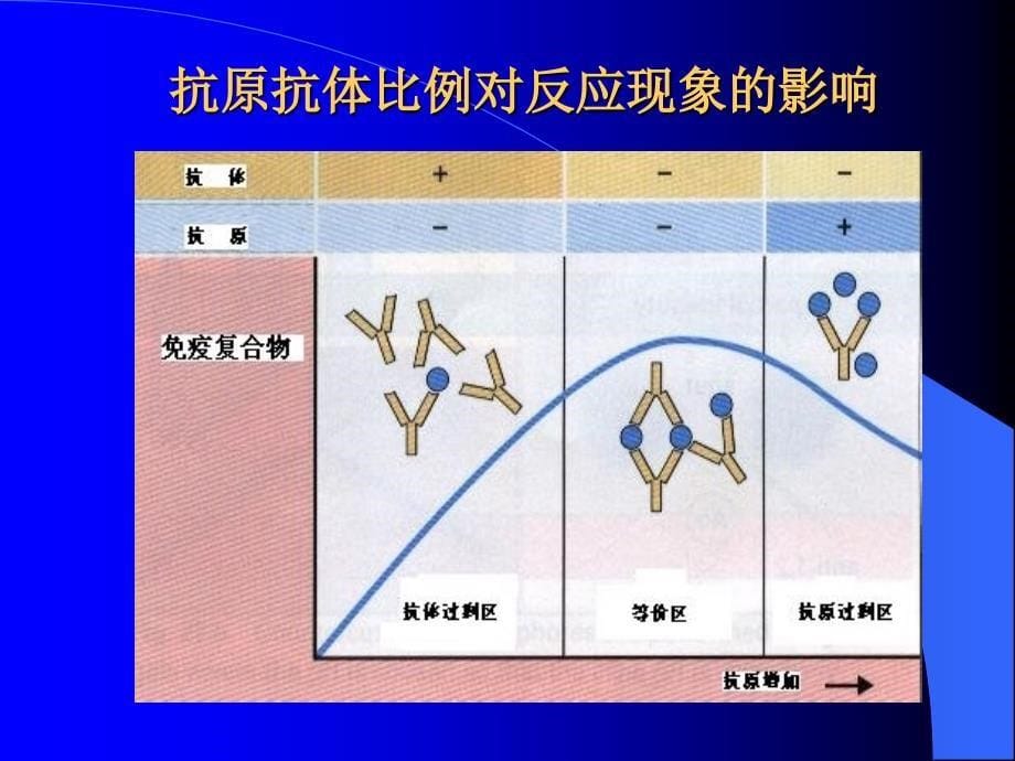 《免疫诊断》ppt课件_第5页