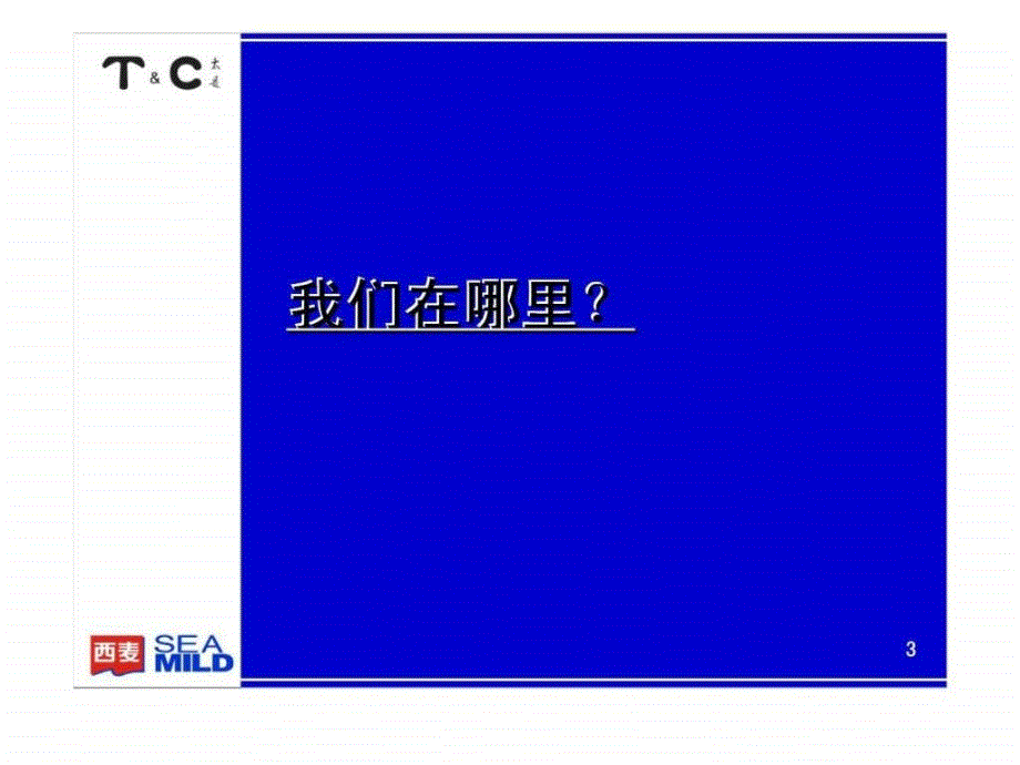 太是咨询：西麦咨询项目第二阶段工作规划_第3页