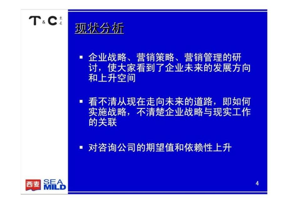 太是咨询：西麦咨询项目第二阶段工作规划_第4页