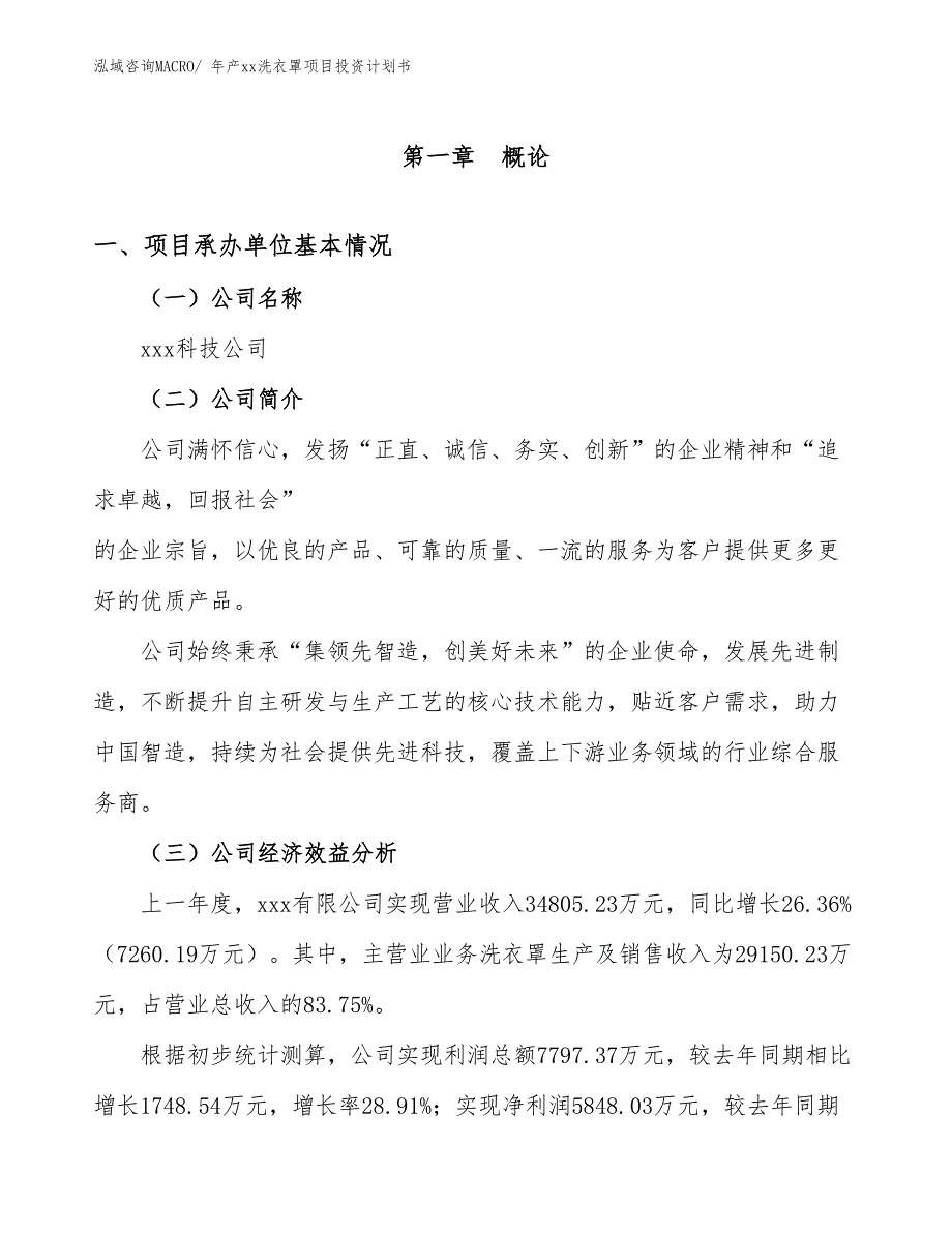 年产xx洗衣罩项目投资计划书_第3页