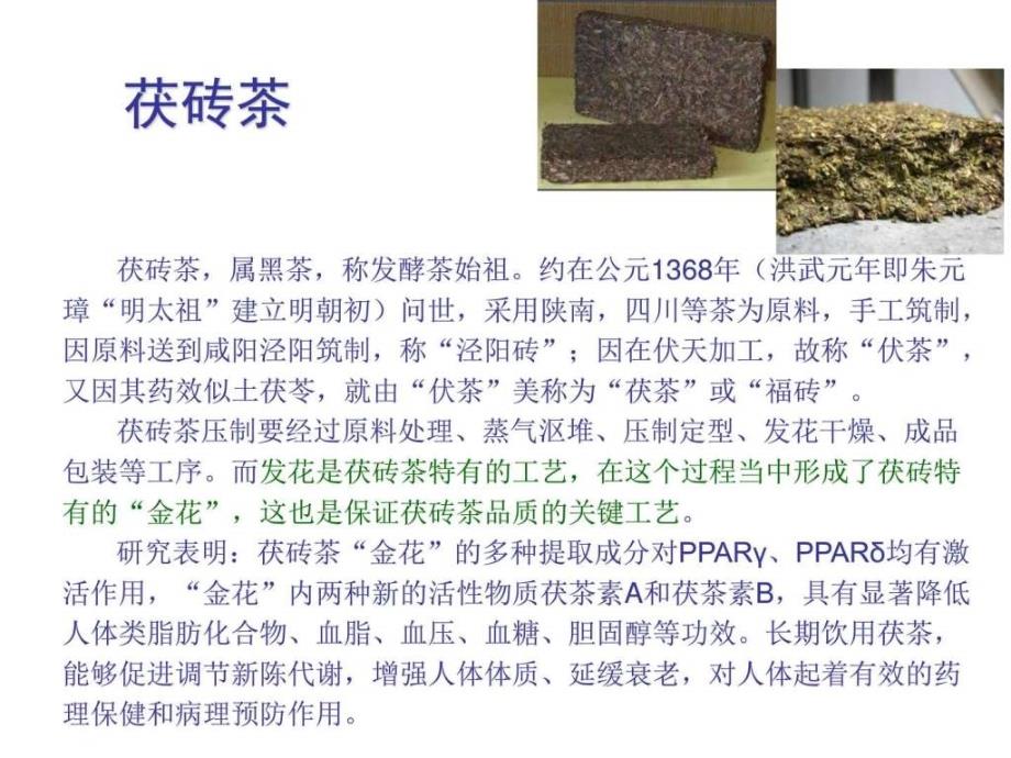 《植物化学物》ppt课件_第2页