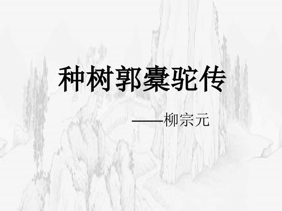 《文无定格》ppt课件_第5页