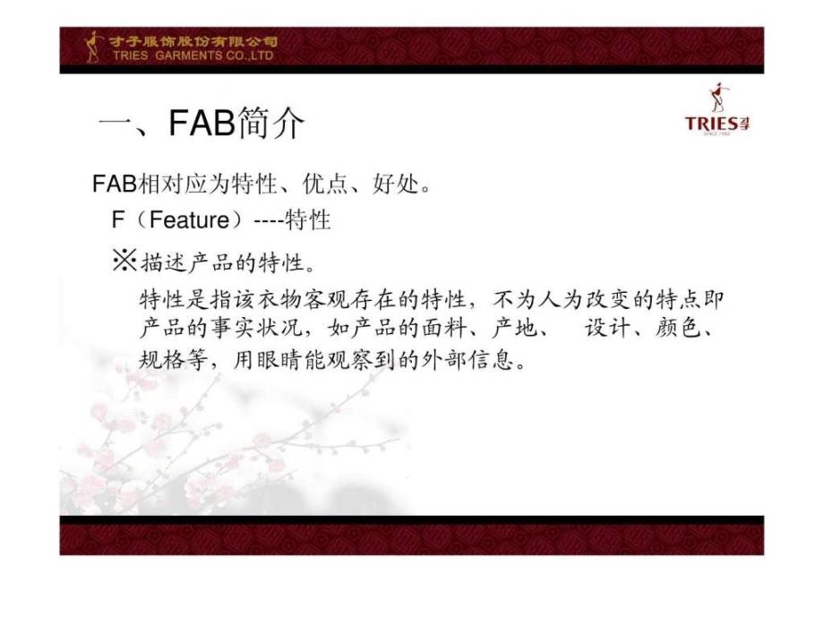 服装品牌fab简介与运用_经管营销_专业资料_第2页