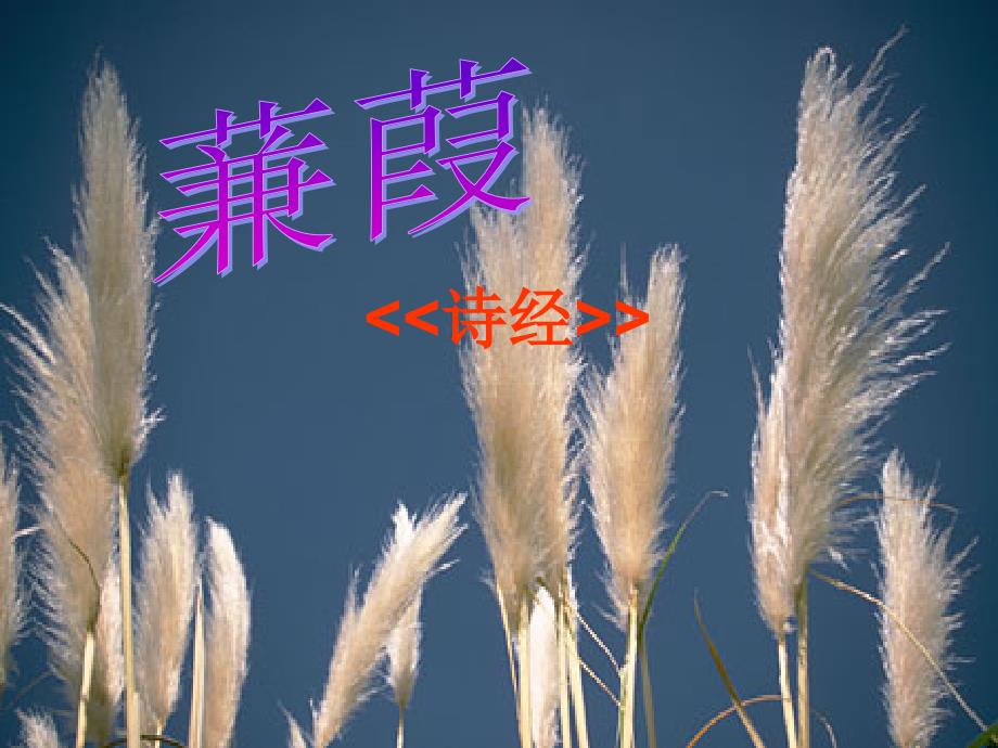 2013-2014学年高中语文5.15《蒹葭》课件沪教版必修_第1页