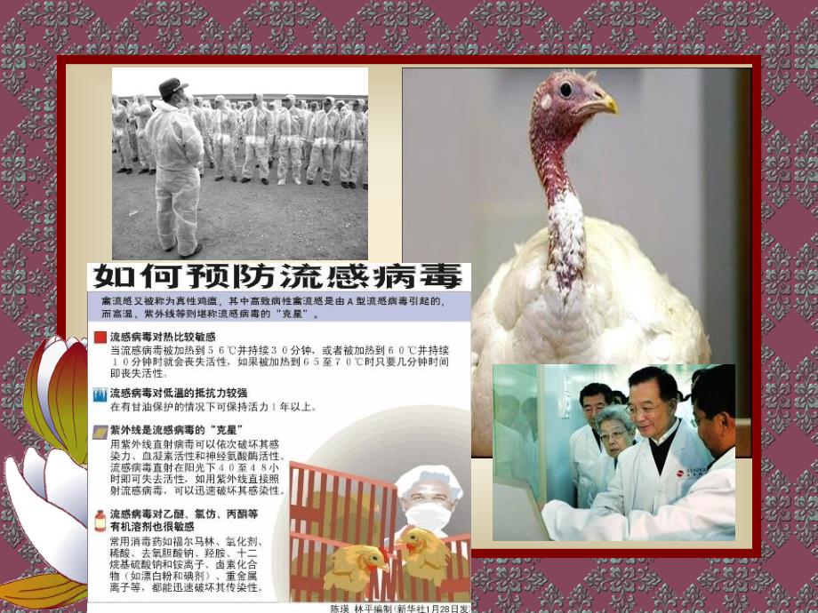禽兽疫病防治与食品安全3_第2页