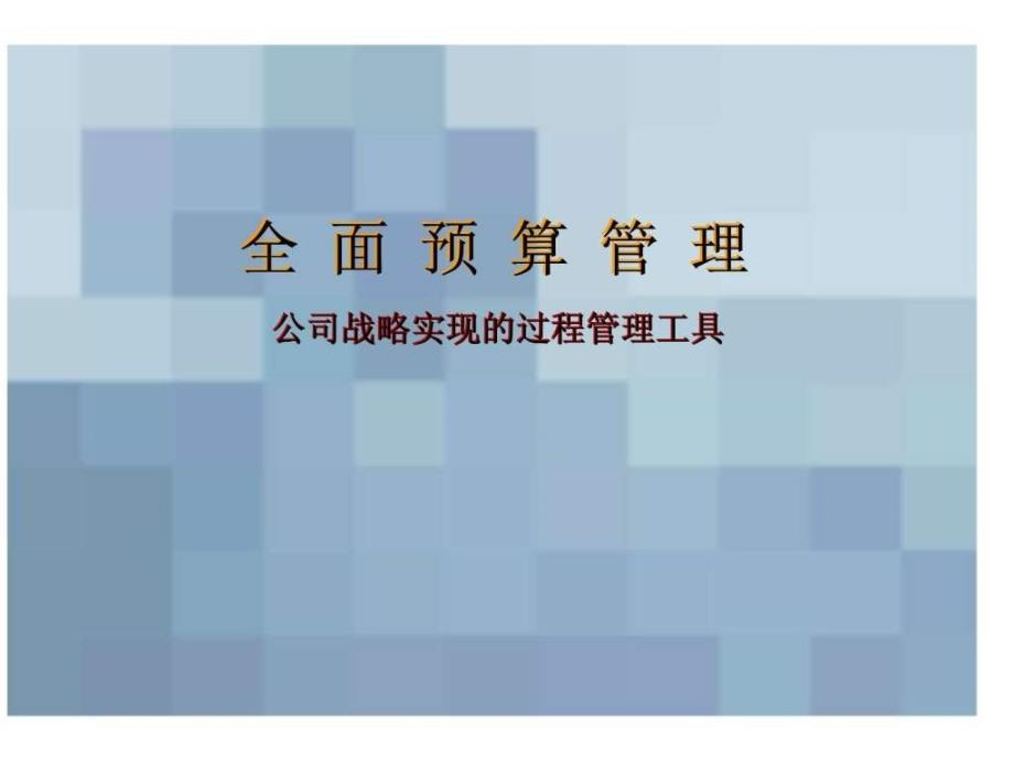 全面预算管理—公司战略实现的过程管理工具_第1页