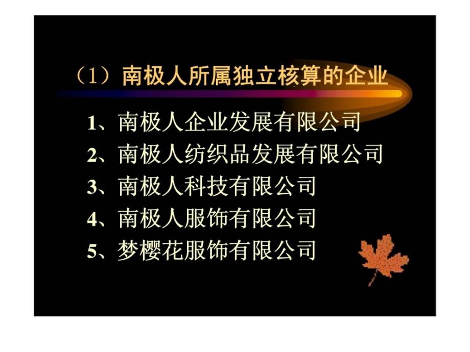 南极人2004年度博鳌管理战略年会财务部发言稿_第3页