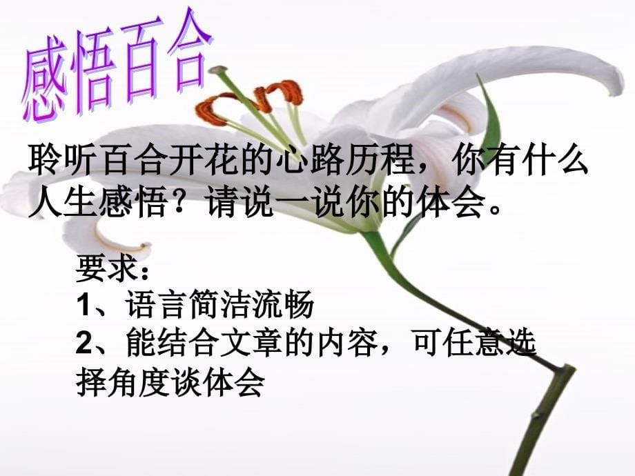 《成功的花》ppt课件_第5页