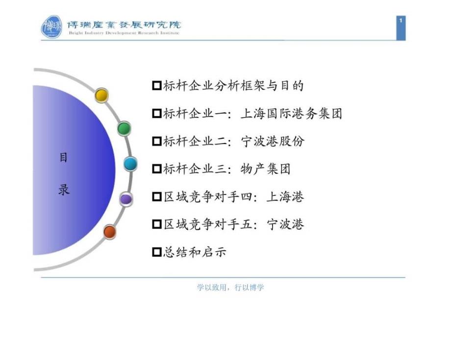 舟山港务集团发展战略中期报告-标杆企业与区域竞争对手分析_第2页