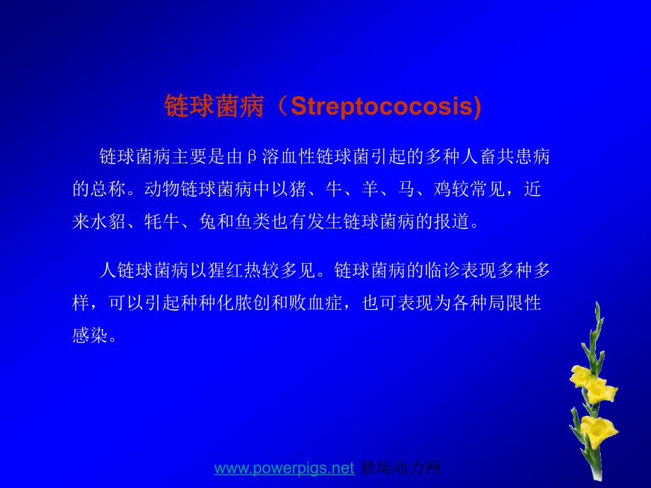 共患病链球菌病streptococosisppt课件_第1页