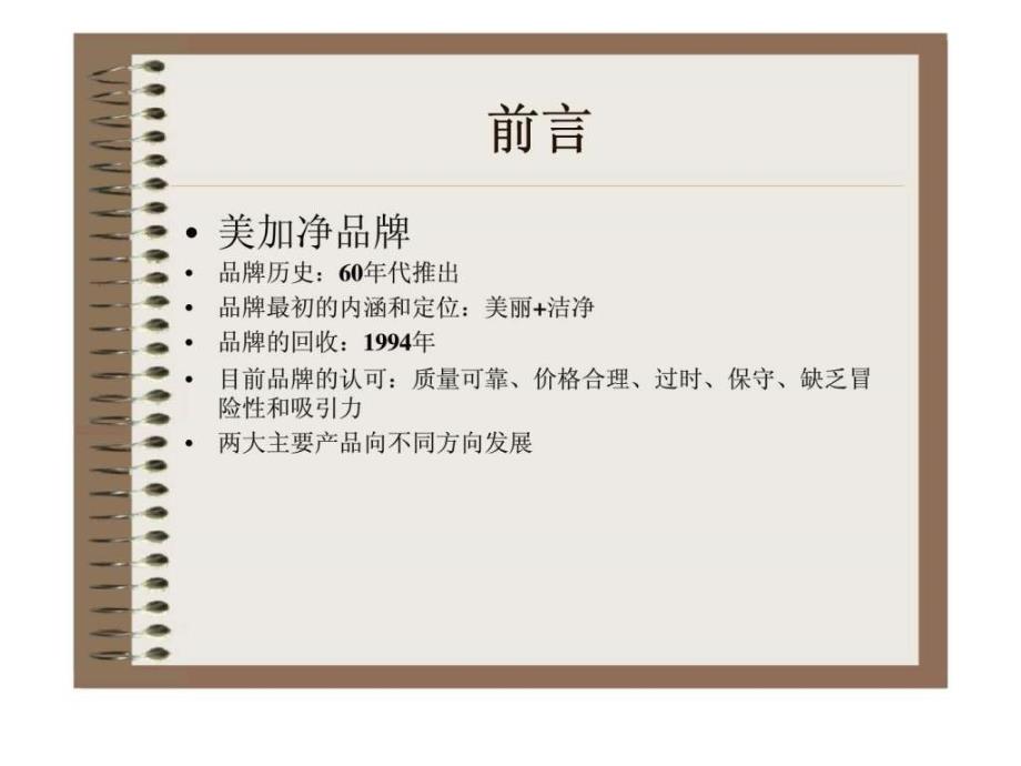 上海家化有限公司：美加净品牌案例分析_第4页