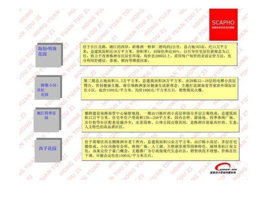 宏源投资项目定位思路_第5页