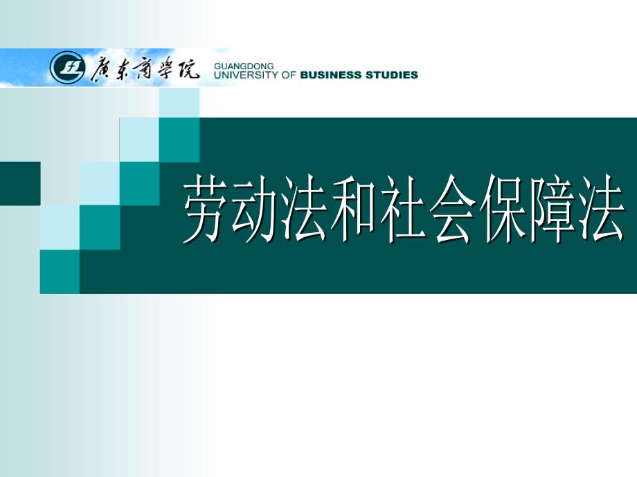 劳动法和社会保障法第十三讲医疗保险法_第1页