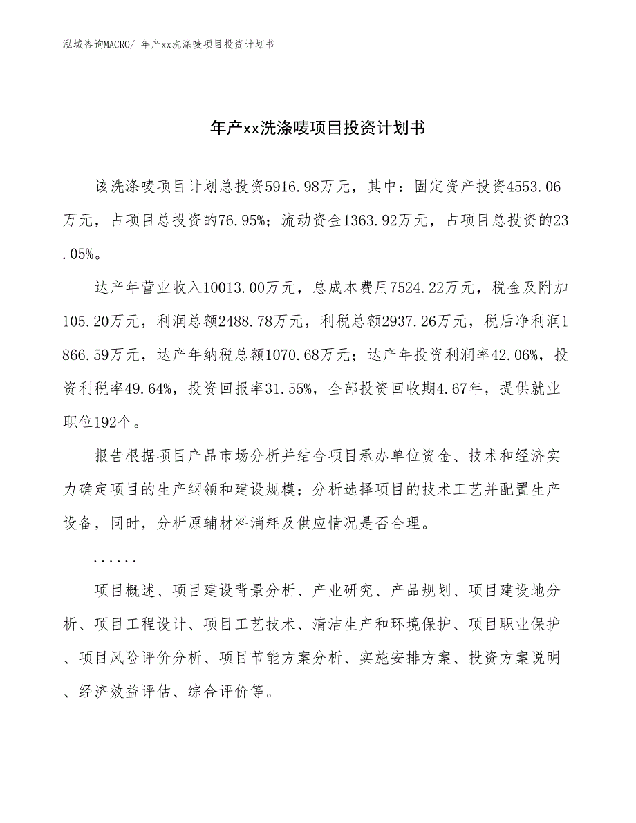 年产xx洗涤唛项目投资计划书_第1页