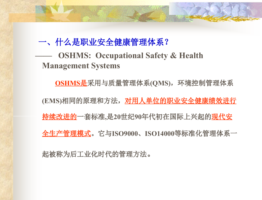安全生产与职业安全健康管理体系(oshms)oshms.5.1_第2页