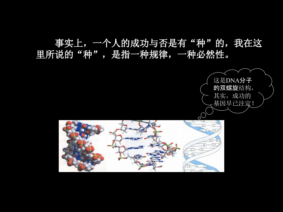 《成功有种》ppt课件_第3页