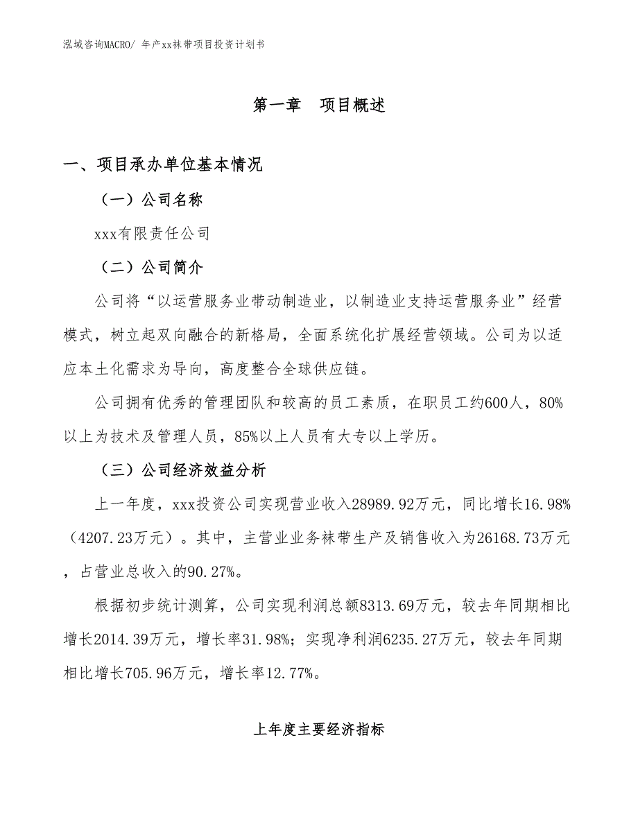 年产xx袜带项目投资计划书_第3页