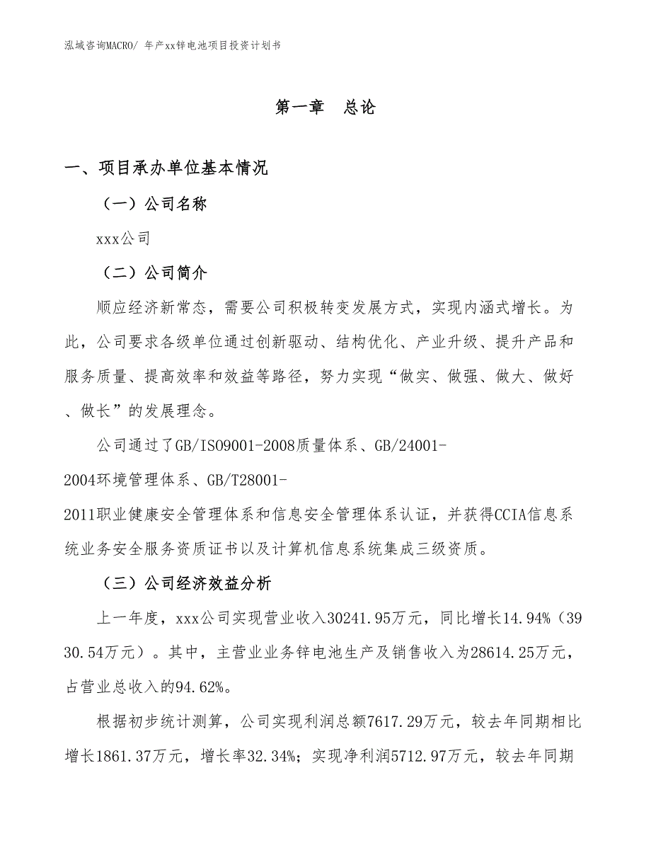 年产xx锌电池项目投资计划书_第3页