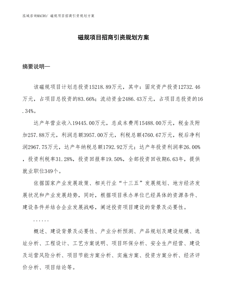 磁规项目招商引资规划方案_第1页