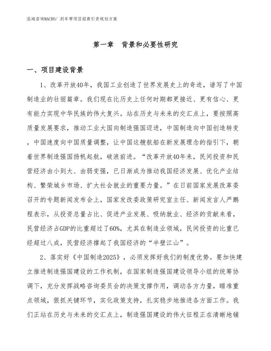 刹车带项目招商引资规划方案_第3页