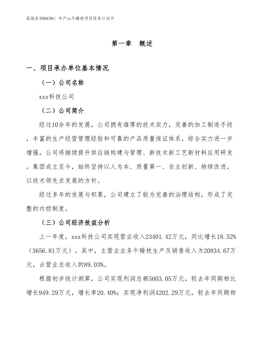 年产xx午睡枕项目投资计划书_第3页