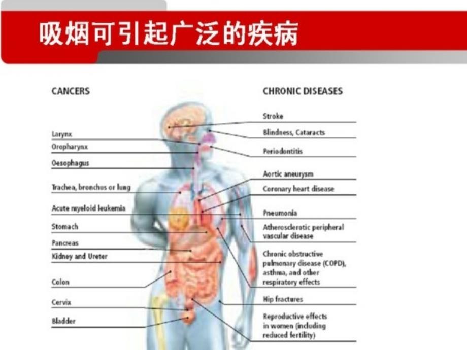 我国控烟形势和医生的责任_第2页